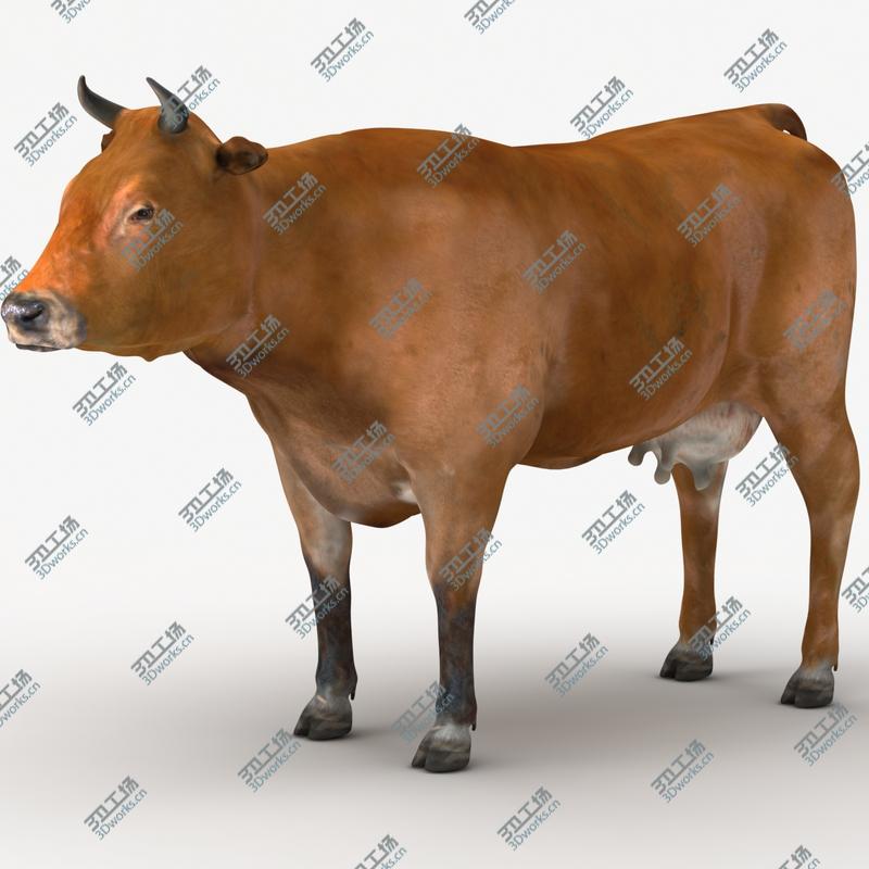 images/goods_img/202105074/Cow Collection/3.jpg